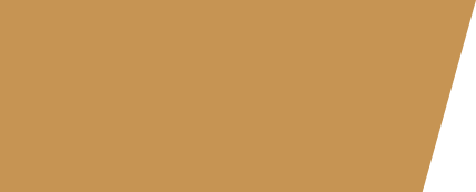 Vector-64.png